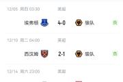  贝林厄姆转会 