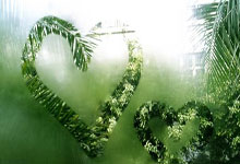 曼神：阿联酋代表，亚洲杯首秀志在晋级